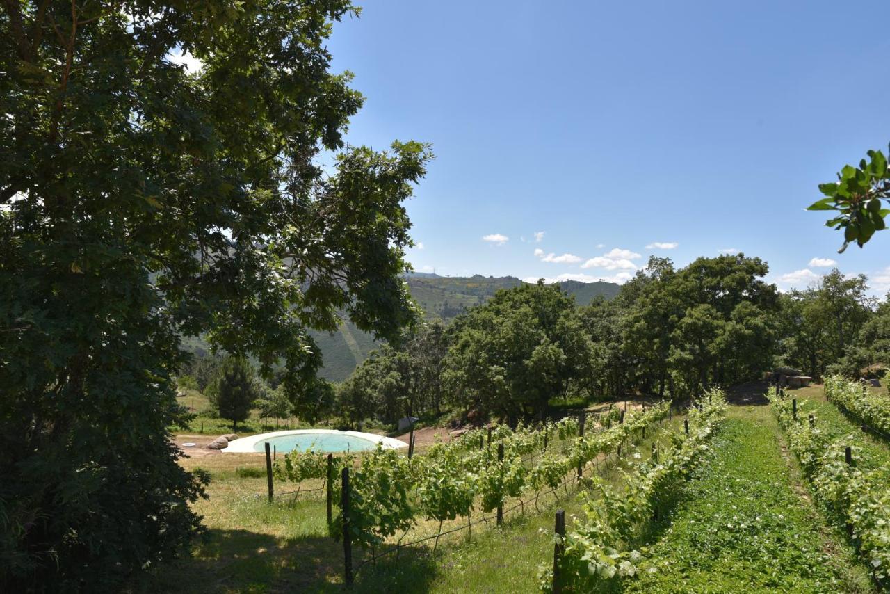 Villa Quinta de S. Cipriano Resende Exterior foto